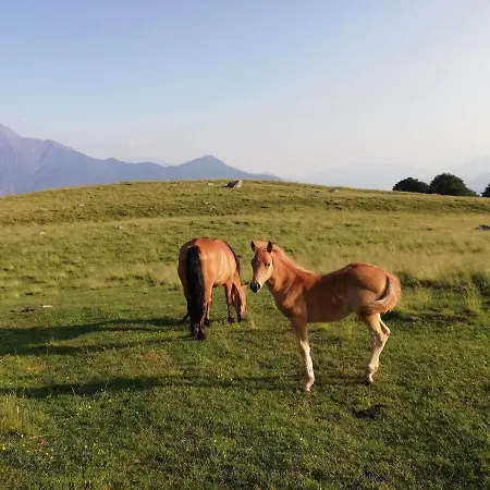 Casa Anna - Montemezzo *
