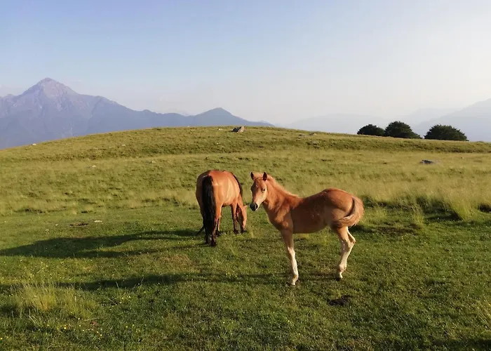 Casa Anna - Montemezzo *